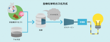 バイオマス