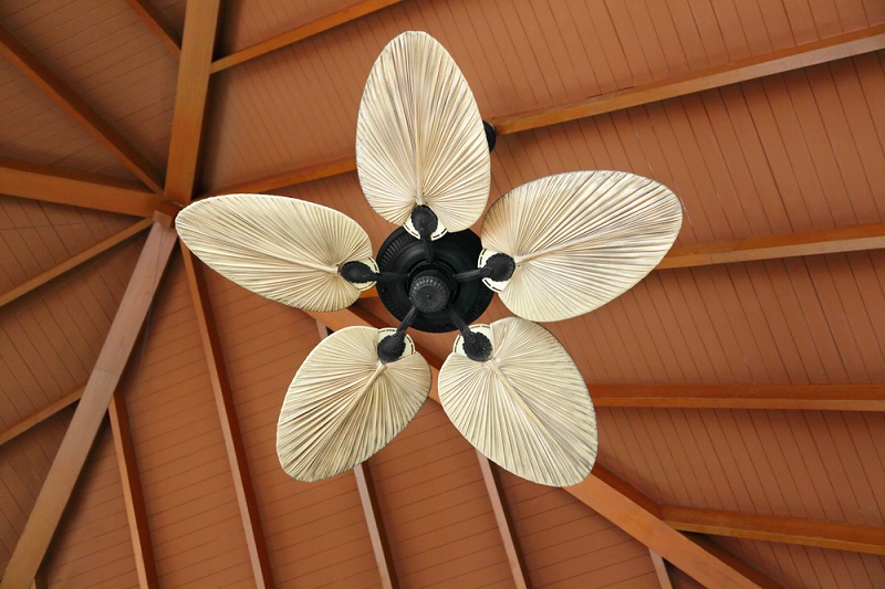 天井に付ける扇風機 おしゃれな シーリングファン をご紹介 電力 ガス比較サイト エネチェンジ