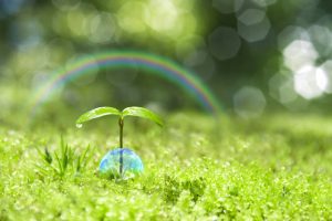 省エネを意識すれば、電気代の節約にも！私たちができる省エネとは？