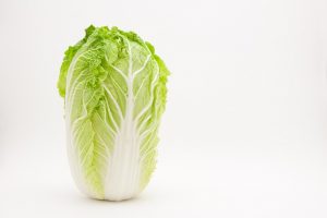 白菜の保存方法と賞味期限