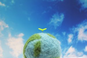 自然エネルギー100%！グリーナでんき（GREENa）の電気料金プランとは？