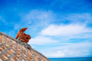 厳選！沖縄の電力会社・電気料金プランを比較