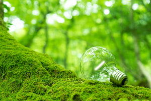 再生可能エネルギーの電力会社おすすめ14選！電気料金が安いのはどこ？